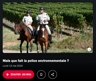 PODCAST - Mais que fait la police environnementale ?