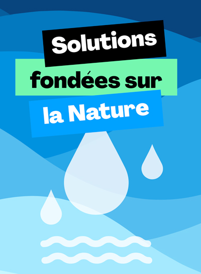 Miser sur la force régénératrice de la nature pour répondre aux défis de la gestion de l’eau