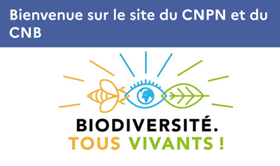 Déploiement du photovoltaïque : impact sur la biodiversité